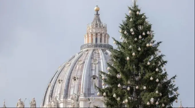 Cupula221221.jpg ?? 
