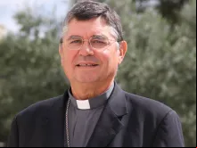 Dom João Lavrador.