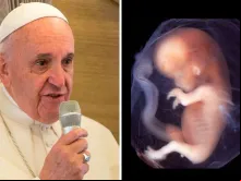 Papa Francisco. Crédito: ACI Prensa