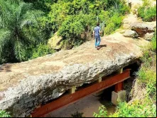 Imagem Ilustrativa da Chapada do Araripe 