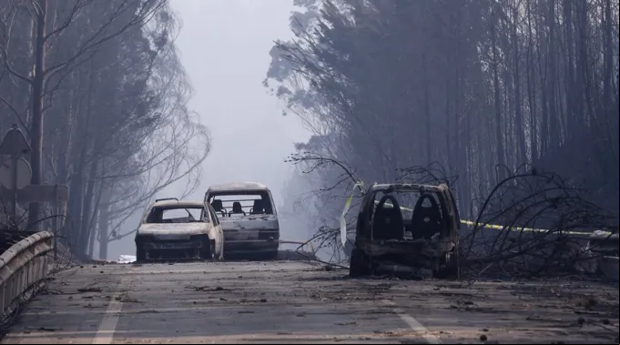 IncendioPedrogaoGrande_-_AgenciaEcclesia.jpg ?? 
