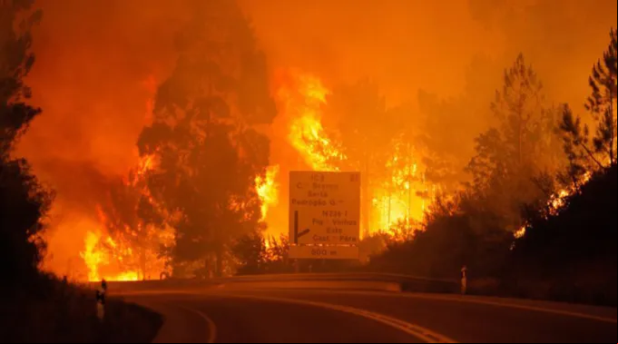 Incendio_PT.jpg ?? 