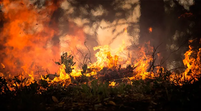 Incendio_florestal_-_Pixabay.jpg ?? 