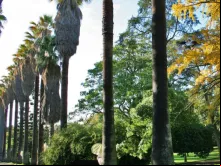 Jardim Botânico Tropical da Universidade de Lisboa