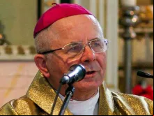 Dom Sigitas Tamkevicius.