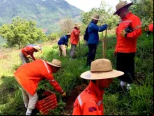 Seminaristas de Legionários de Cristo em trabalhos de reflorestamento na Serra de Hidalgo (México). Crédito: Regnum Christi
