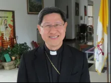 Cardeal Luis Antonio Tagle, Arcebispo de Manila