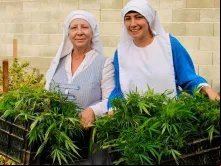 Mulheres que se vestem de religiosas e cultivam maconha 