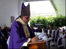 Dom José Domingo Ulloa, Arcebispo do Panamá 