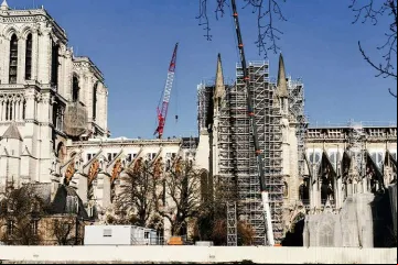 NotreDameCor_Unsplash_051220_1.jpg