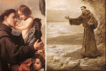 Padua_WikipediaDominioPblico_110616.gif