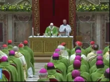 Papa na Missa de encerramento do encontro sobre a proteção dos menores.