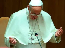 Papa Francisco.