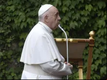 Papa Francisco nos jardins vaticanos.