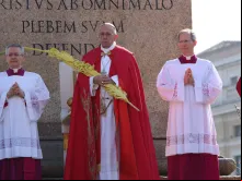 O Papa segura um ramo durante a celebração.