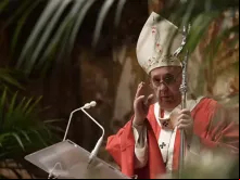 Papa Francisco no Domingo de Ramos.