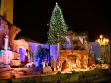 Presépio e árvore de Natal no Vaticano 