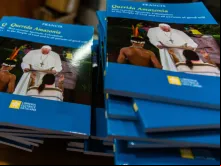 Capa da exortação apostólica Querida Amazônia.