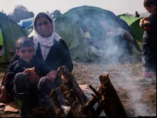 Refugiados 