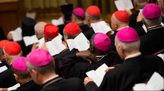 Sinodo-VaticanMedia-18102019.jpg ?? 