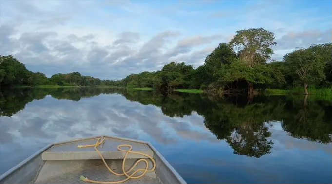 SinodoAmazonia_Pixabay_160719.jpg ?? 