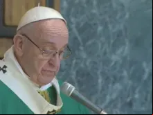 Papa durante a homilia.