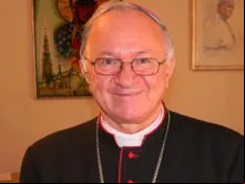 Dom Zygmunt Zimowski