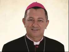 Dom João José Costa, O.Carm.