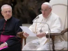 Papa Francisco na audiência.