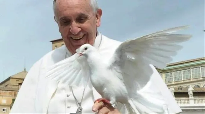 papa_francisco_paloma_de_la_paz.jpg ?? 