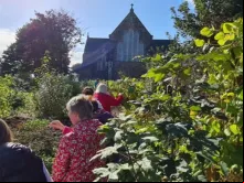 "Jardim de biodiversidade" em paróquia no condado de Kerry, na Irlanda, em setembro de 2022. - Crédito da foto: Jane Mellett 