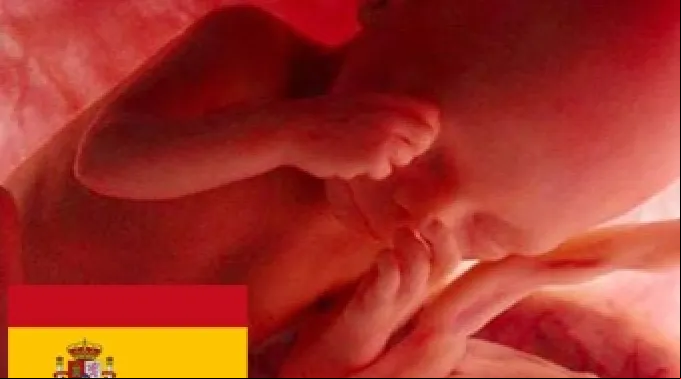 ppabortoespana200412.jpg ?? 