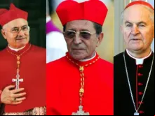 Cardeais Salvatore De Giorgi, Julián Herranz e Jozef Tomko