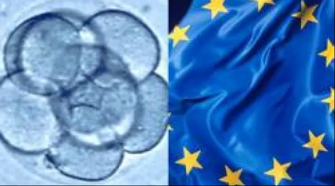 ppembrioneseuropa201011.jpg ?? 