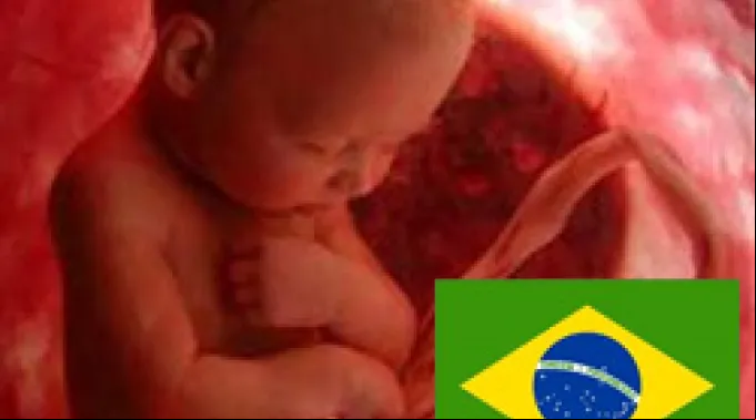 ppfetobrasil060810.jpg ?? 